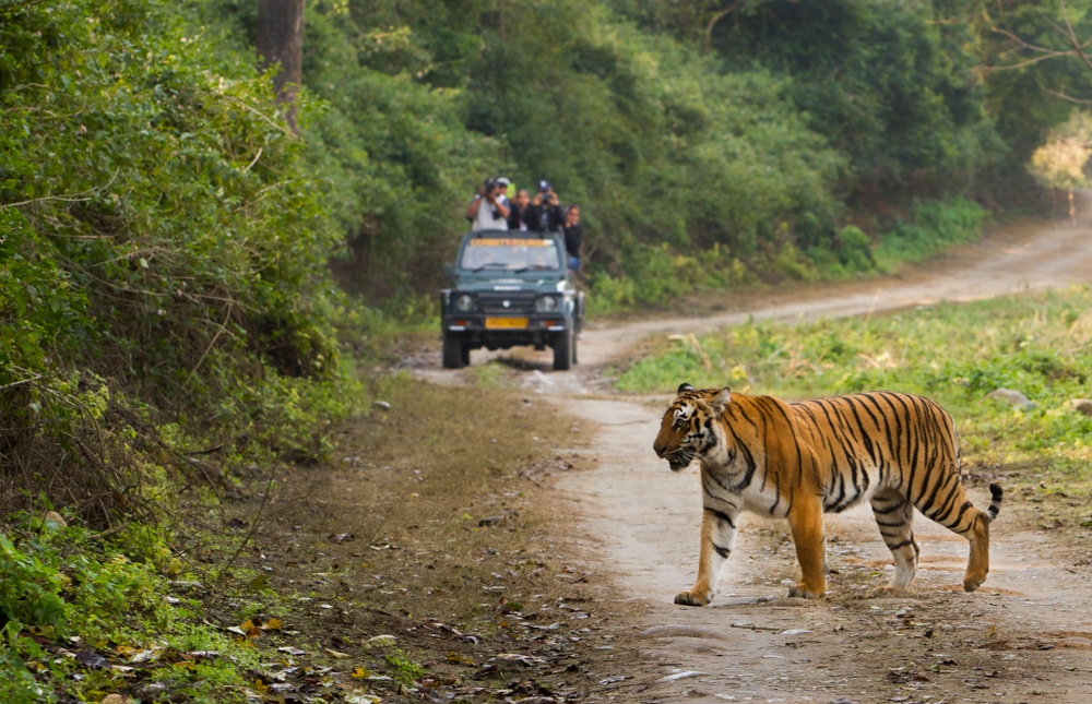 Jim Corbett