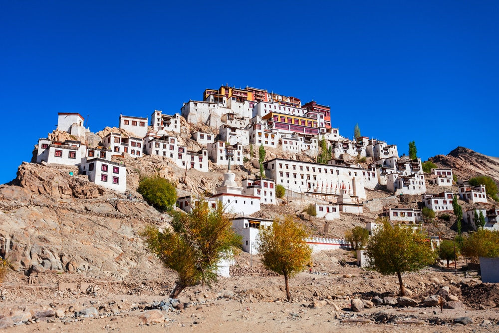 Day 2 : Leh - Excursion to Monasteries