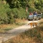 jim corbett tour packages